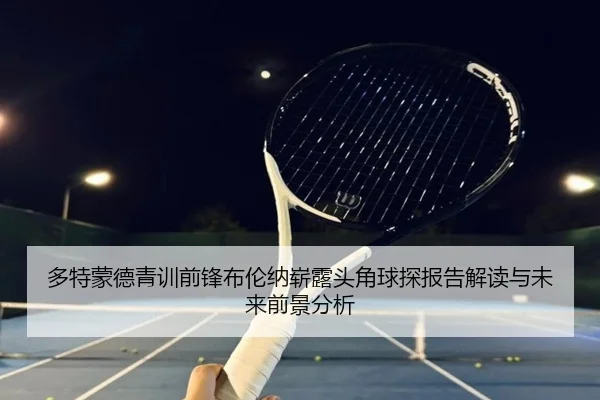 多特蒙德青训前锋布伦纳崭露头角球探报告解读与未来前景分析