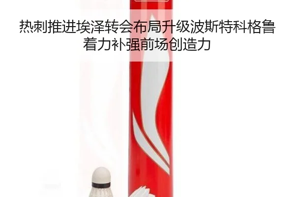 热刺推进埃泽转会布局升级波斯特科格鲁着力补强前场创造力